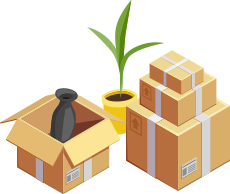 Two boxes and a plant